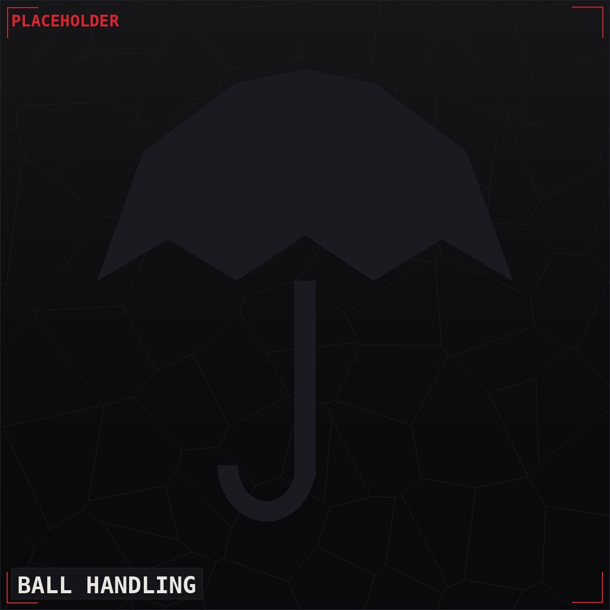 Ball handling work